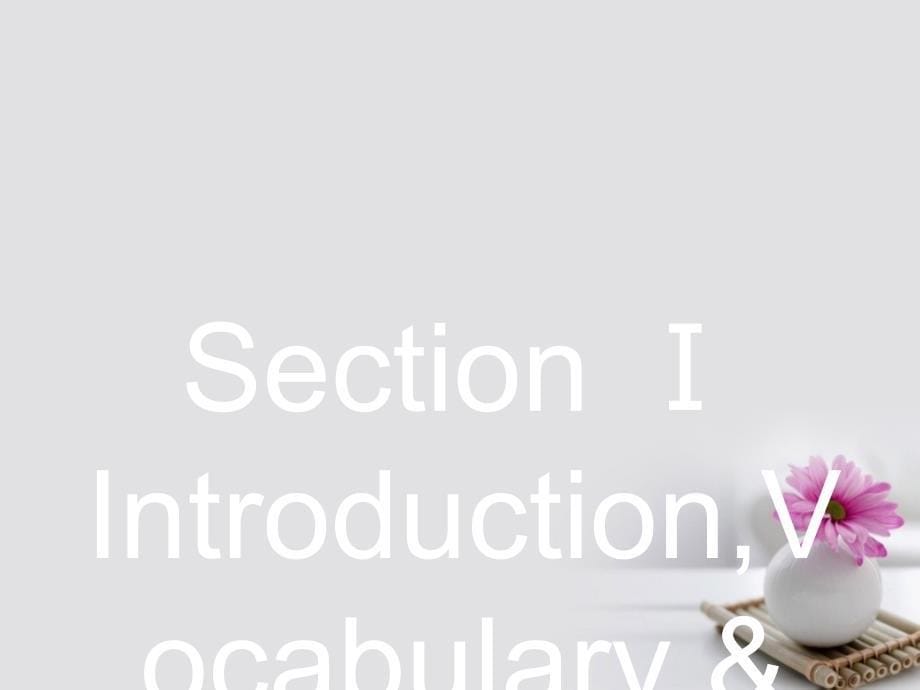 2018高中英语 Module 1 Small Talk Section Ⅰ IntroductionVocabulary &ampamp; Reading课件 外研版选修6_第5页
