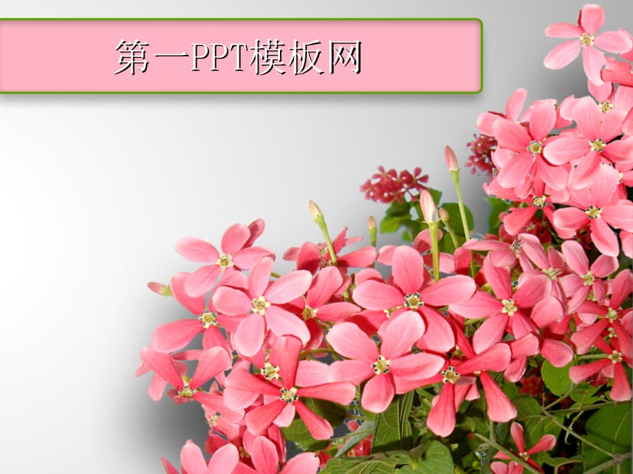 PPT模板 鲜花 精品_第1页