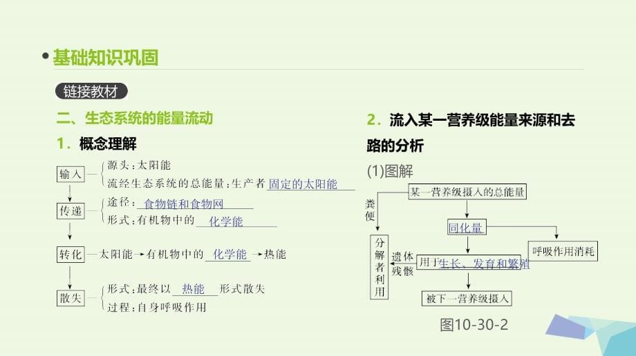 （全国版）2018版高考生物一轮复习（基础知识巩固+考点互动探究+考例考法直击+教师备用习题）第10单元 生态系统与生态环境的保护 第30讲 生态系统的结构与能量流动课件_第5页