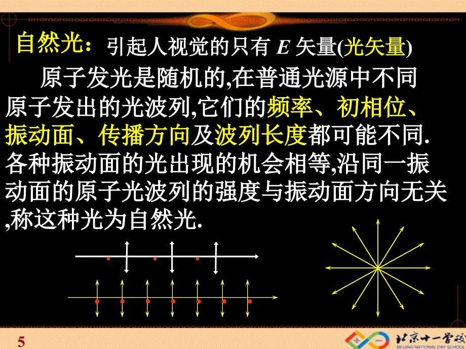 选修3-4 光的偏振.ppt_第5页