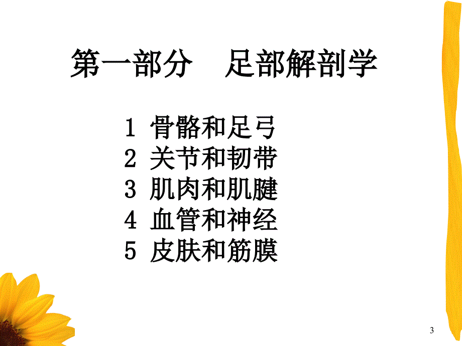 足部知识讲座课件PPT_第3页