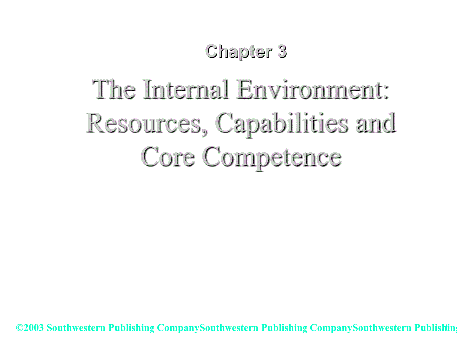 《精编》The Internal Environment： Resources、 Capabilities and Core Competence_第1页