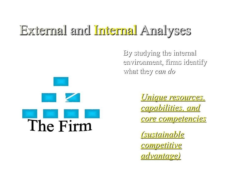 《精编》The Internal Environment： Resources、 Capabilities and Core Competence_第5页