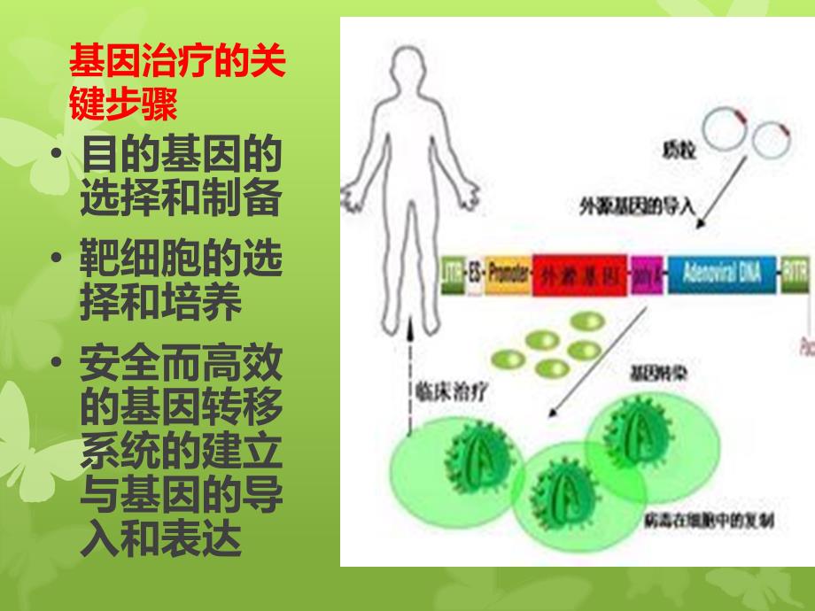 肿瘤的基因治疗课件PPT_第4页