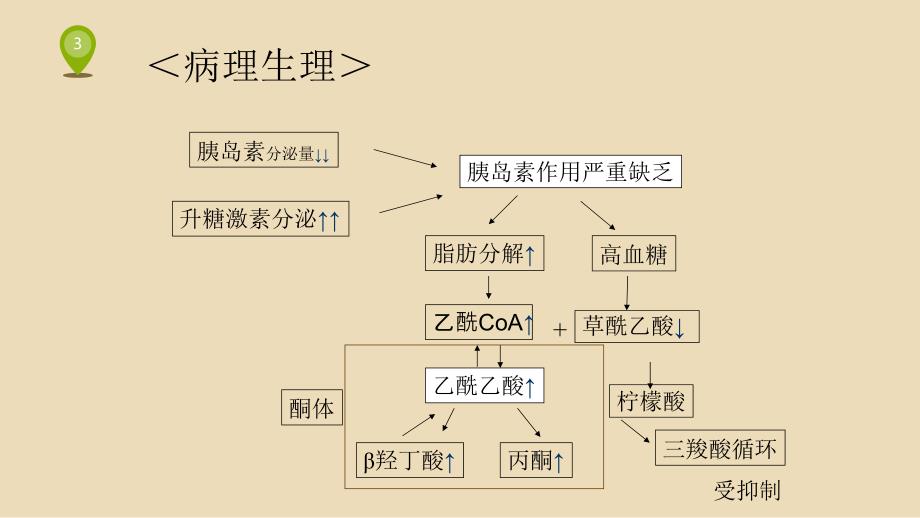 糖尿病酮症酸中毒最新课件PPT_第3页