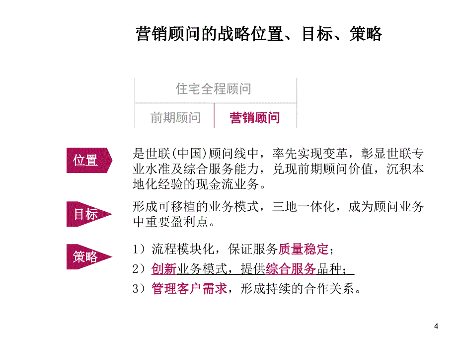 《精编》营销顾问执行标准流程介绍_第4页