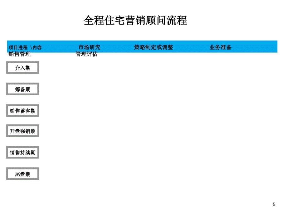 《精编》营销顾问执行标准流程介绍_第5页