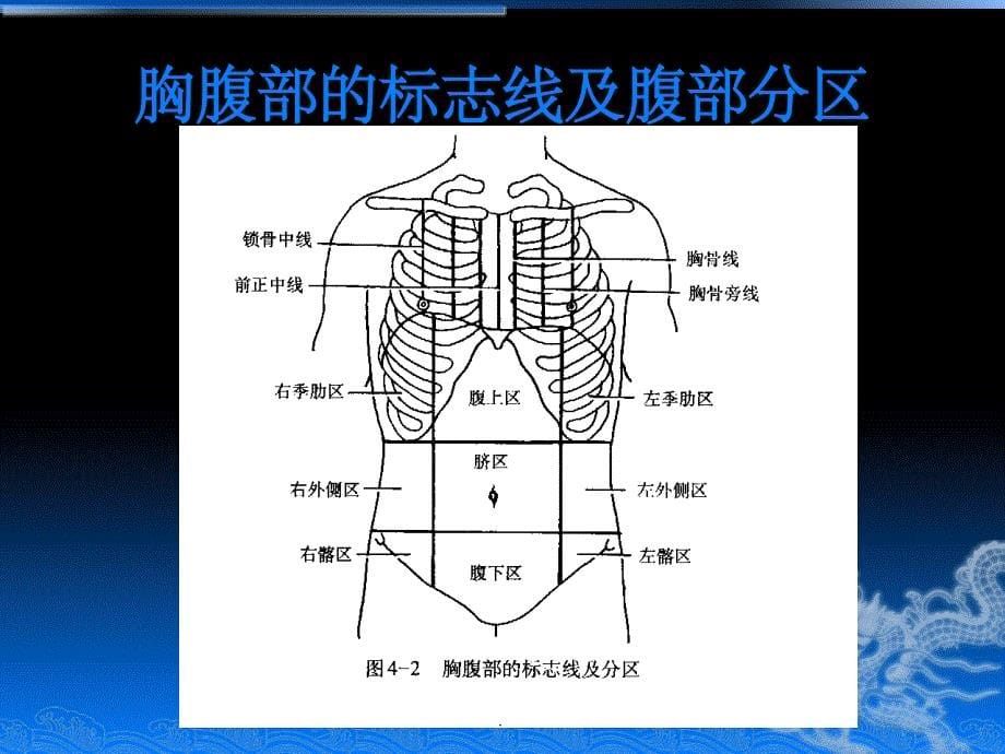 胃解剖及临床影像ppt课件_第5页