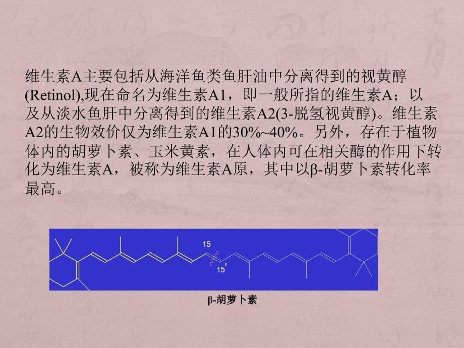 维生素类药物课件PPT_第5页