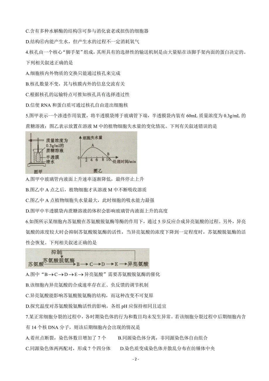 2020届安徽省皖江名校联盟高三第一次联考（8月）生物Word版_第2页