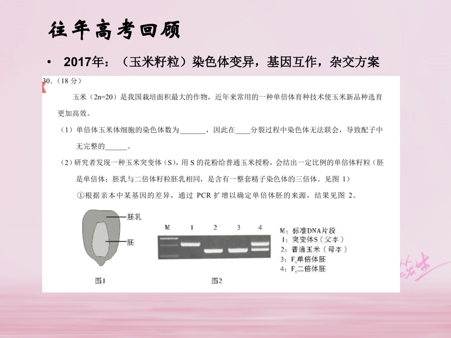 北京市海淀区2018届高三生物二轮复习教研《遗传专题》课件_第3页