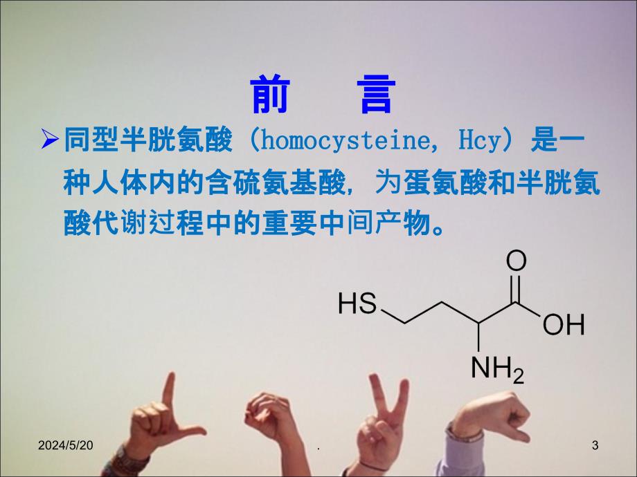 同型半胱氨酸的检测及临床应用ppt课件_第3页