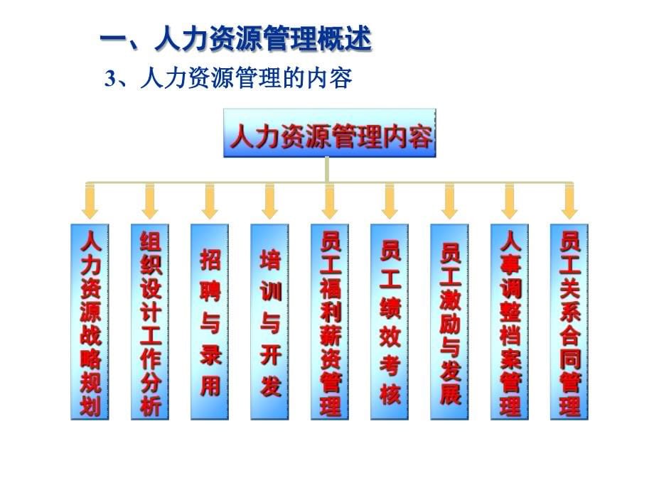 《精编》日化企业组织设计与工作分析_第5页