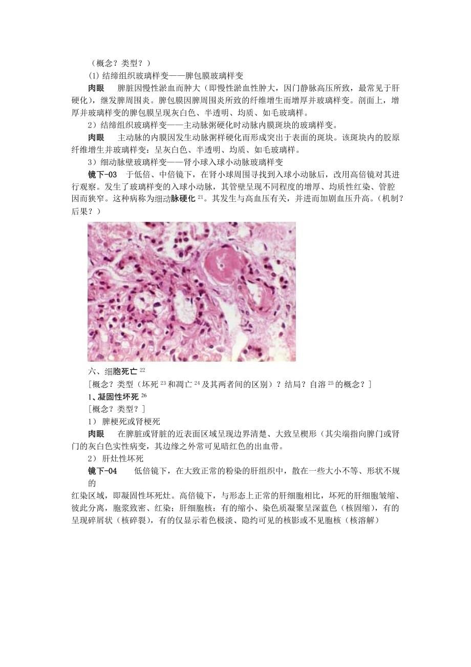 《精编》细胞、组织的适应和损伤讲义_第5页
