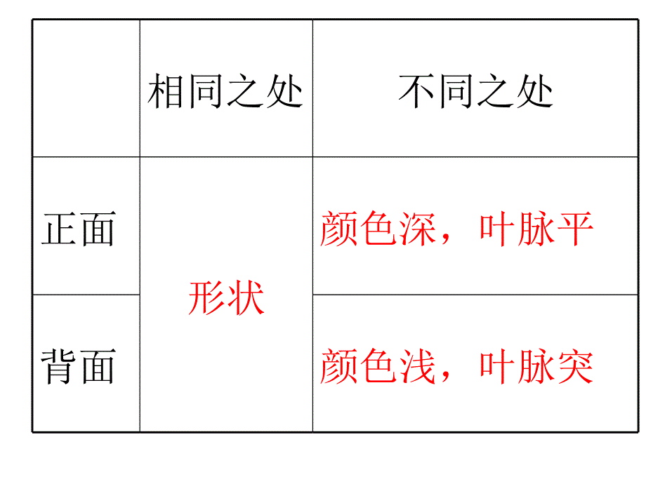 叶子的认识讲课资料_第4页