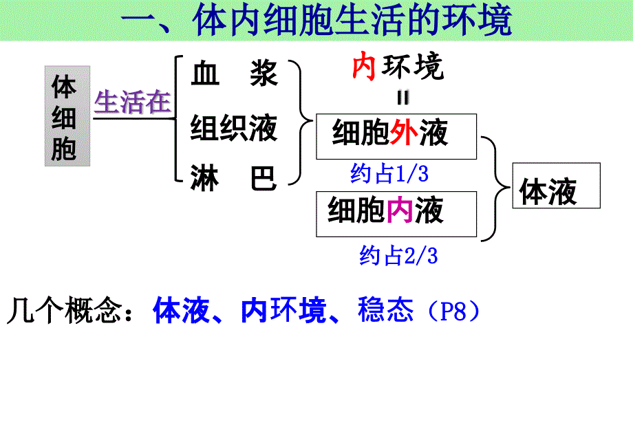 一轮复习——内环境稳态公开课知识讲解_第1页