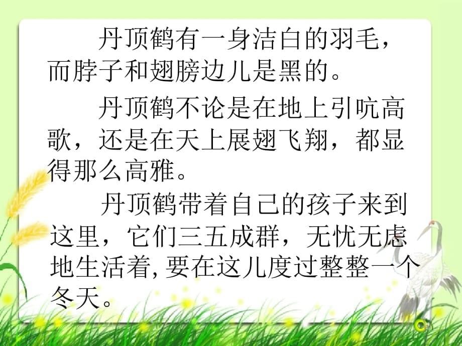 苏教版小学二年级语文上册《美丽的丹顶鹤》参考课件_第5页