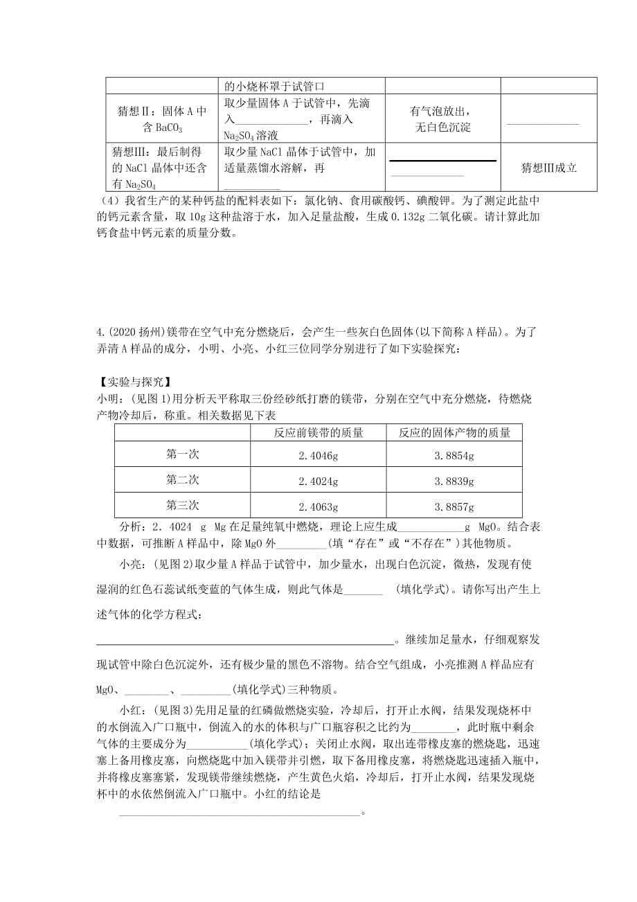 广东省东莞石龙三中中考化学复习 探究实验与定性及定量分析（二）（无答案） 人教新课标版（通用）_第3页