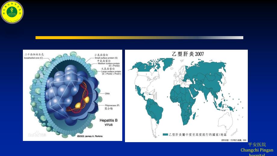 乙型肝炎课件PPT_第2页