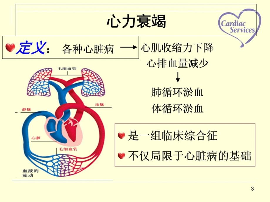 心力衰竭病人的护理查房知识讲稿_第3页