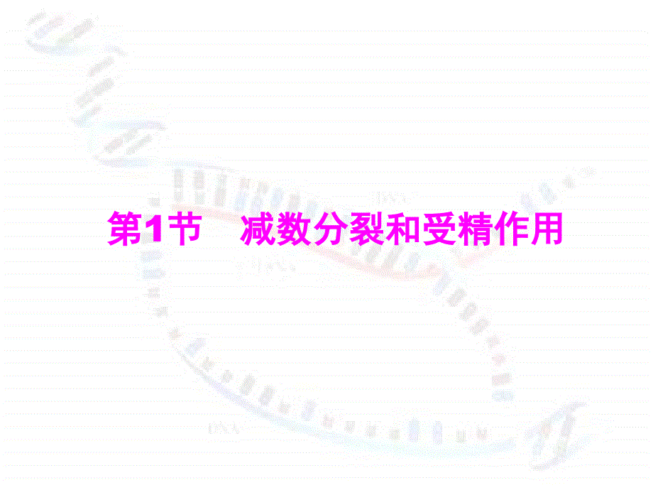 高中生物减数分裂和受精作用课件人教版必修二.ppt_第2页