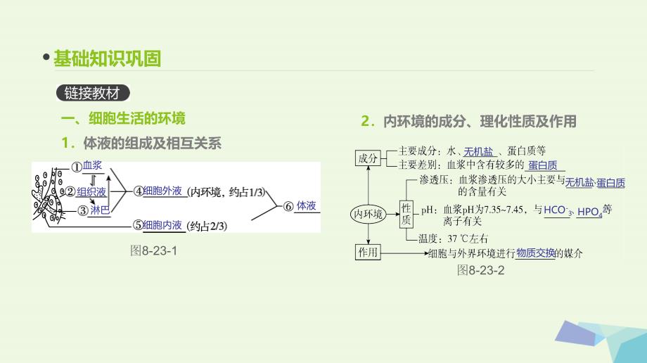 （全国版）2018版高考生物一轮复习（基础知识巩固+考点互动探究+考例考法直击+教师备用习题）第8单元 生命活动的调节 第23讲 人体的内环境与稳态课件_第3页