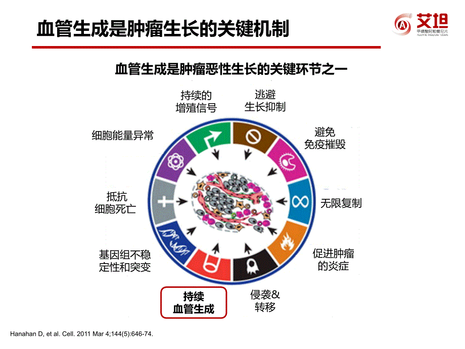 抗血管生成与乳腺癌课件PPT_第3页