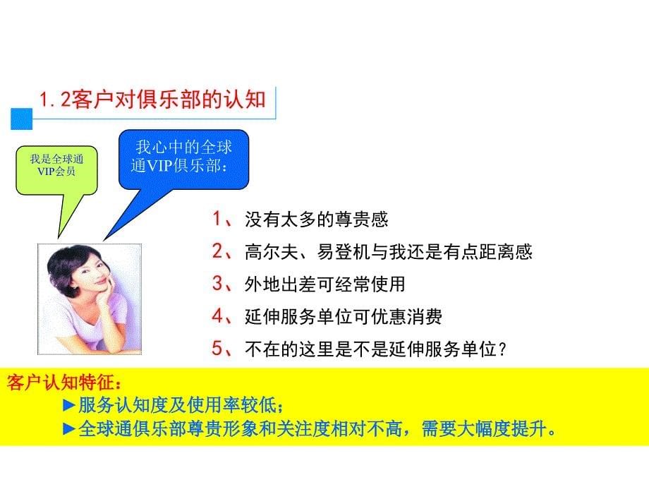 《精编》中国移动VIP俱乐部形象塑造规划与广告投放_第5页