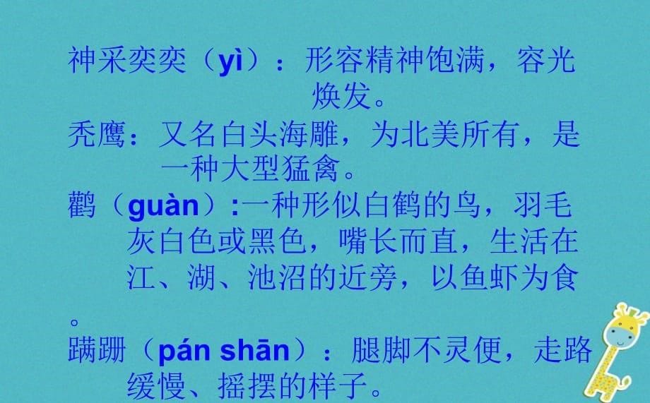 内蒙古鄂伦春自治旗七年级语文上册 19 动物笑谈课件 新人教版_第5页