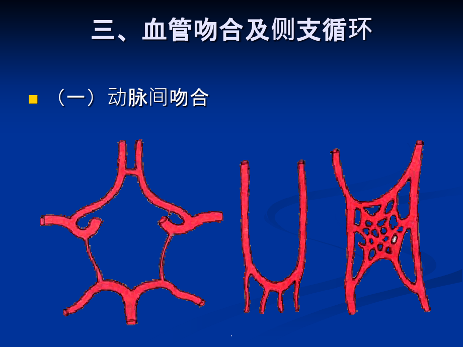 人体解剖学脉管系统-动脉系统ppt课件_第3页