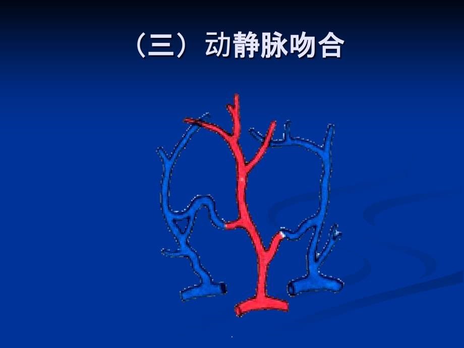 人体解剖学脉管系统-动脉系统ppt课件_第5页