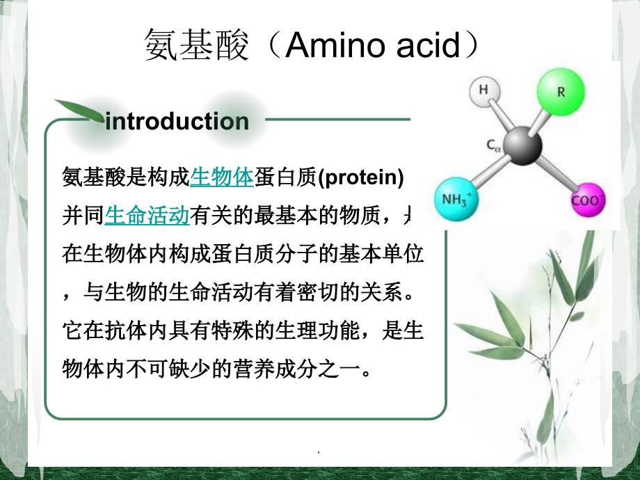 氨基酸与支链氨基酸_第2页