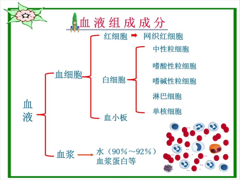 血液基础知识与相关疾病学习资料_第3页