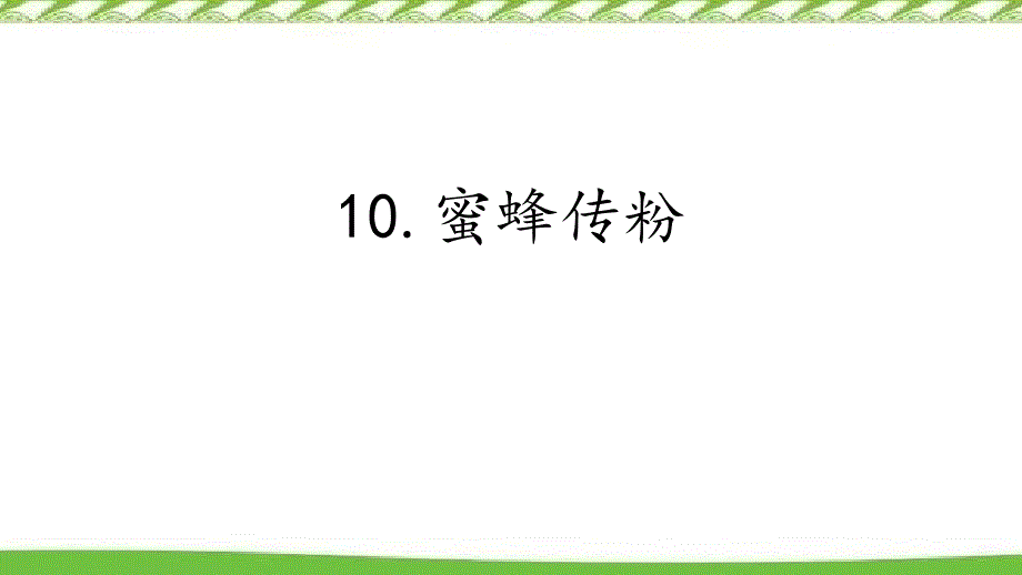 2020新冀人版三年级下册科学10.蜜蜂传粉 精品课件_第1页