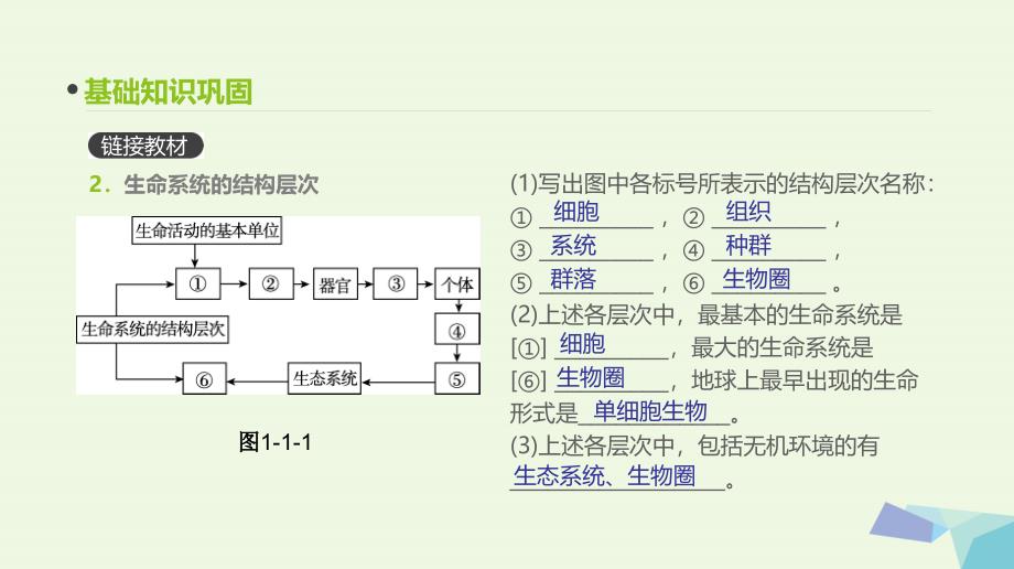 （全国版）2018版高考生物一轮复习（基础知识巩固+考点互动探究+考例考法直击+教师备用习题）第1单元 走近细胞与细胞的分子组成 第1讲 走进细胞课件_第4页