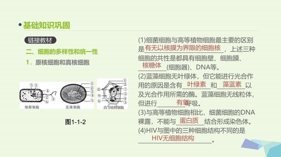 （全国版）2018版高考生物一轮复习（基础知识巩固+考点互动探究+考例考法直击+教师备用习题）第1单元 走近细胞与细胞的分子组成 第1讲 走进细胞课件_第5页