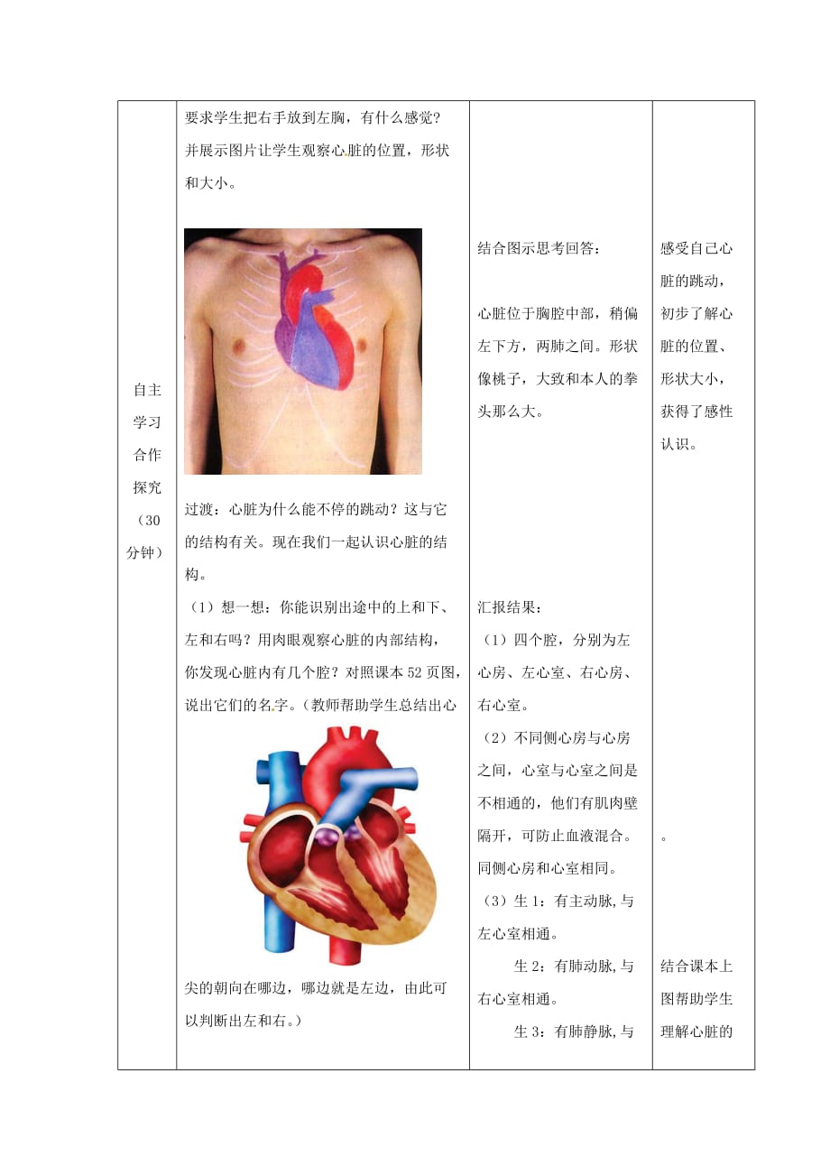 物质运输的器官心脏教学设计.doc_第2页