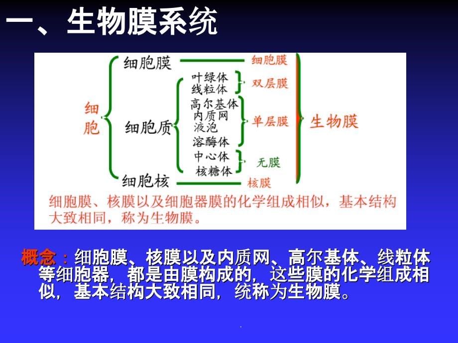 遗传与优生的细胞学基础ppt课件_第5页