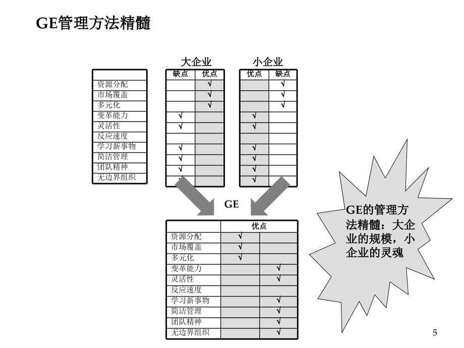 《精编》GE管理方法在中国企业中的应用讲义_第5页