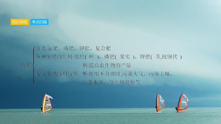 安徽省2018年中考化学一轮复习 第一部分 考点知识梳理 模块一 身边的化学物质 专题六 盐 化学肥料课件_第4页