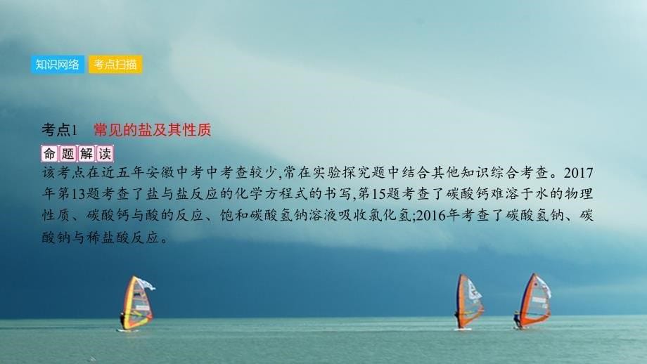 安徽省2018年中考化学一轮复习 第一部分 考点知识梳理 模块一 身边的化学物质 专题六 盐 化学肥料课件_第5页