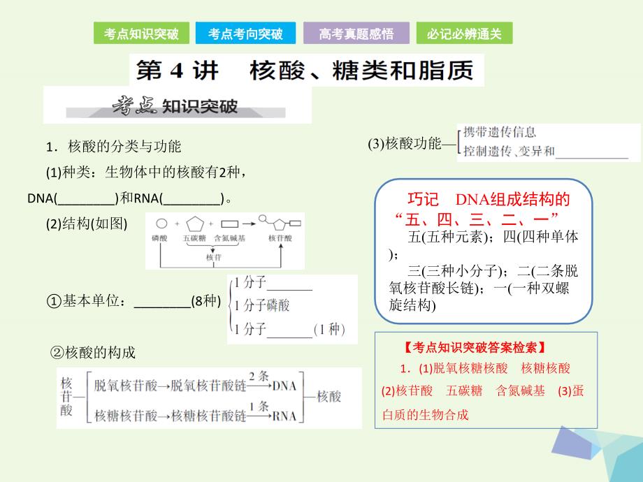 （全国卷 地区专用）2018高考生物总复习 第一单元 细胞及其分子组成 第4讲 核酸、糖类和脂质课件_第2页