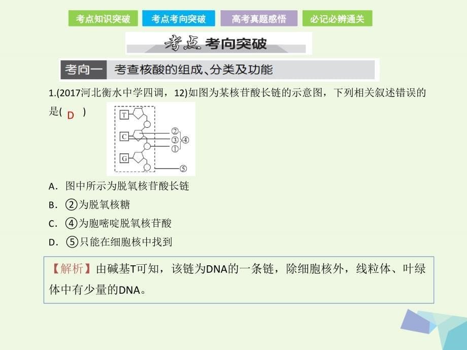 （全国卷 地区专用）2018高考生物总复习 第一单元 细胞及其分子组成 第4讲 核酸、糖类和脂质课件_第5页