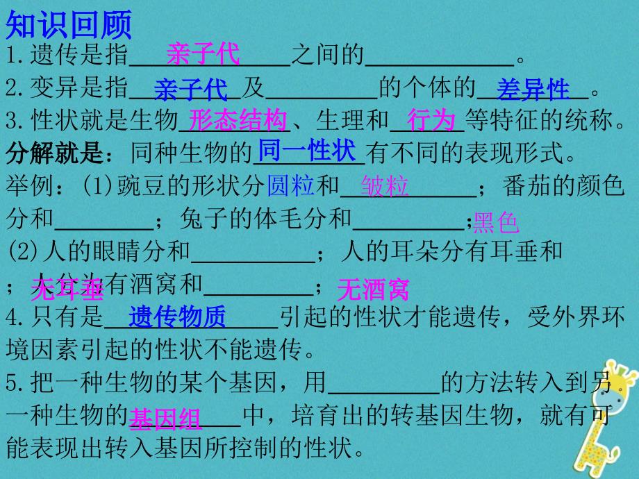 江西省寻乌县八年级生物下册 7.2.2基因在亲子代间的传递课件 （新版）新人教版_第1页