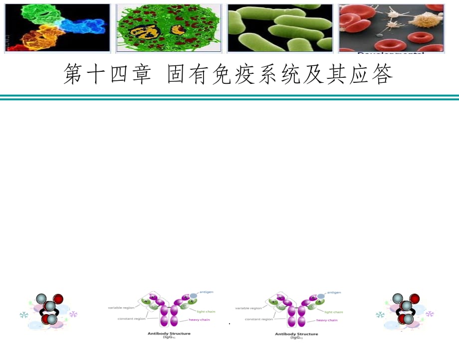 [免疫学]固有免疫及其应答ppt课件_第1页