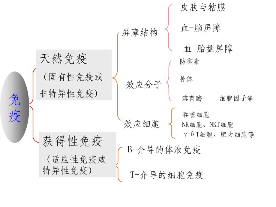 [免疫学]固有免疫及其应答ppt课件_第4页