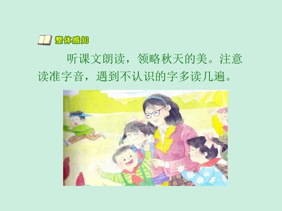 苏教版小学二年级语文上册《秋游》教学课件_第5页