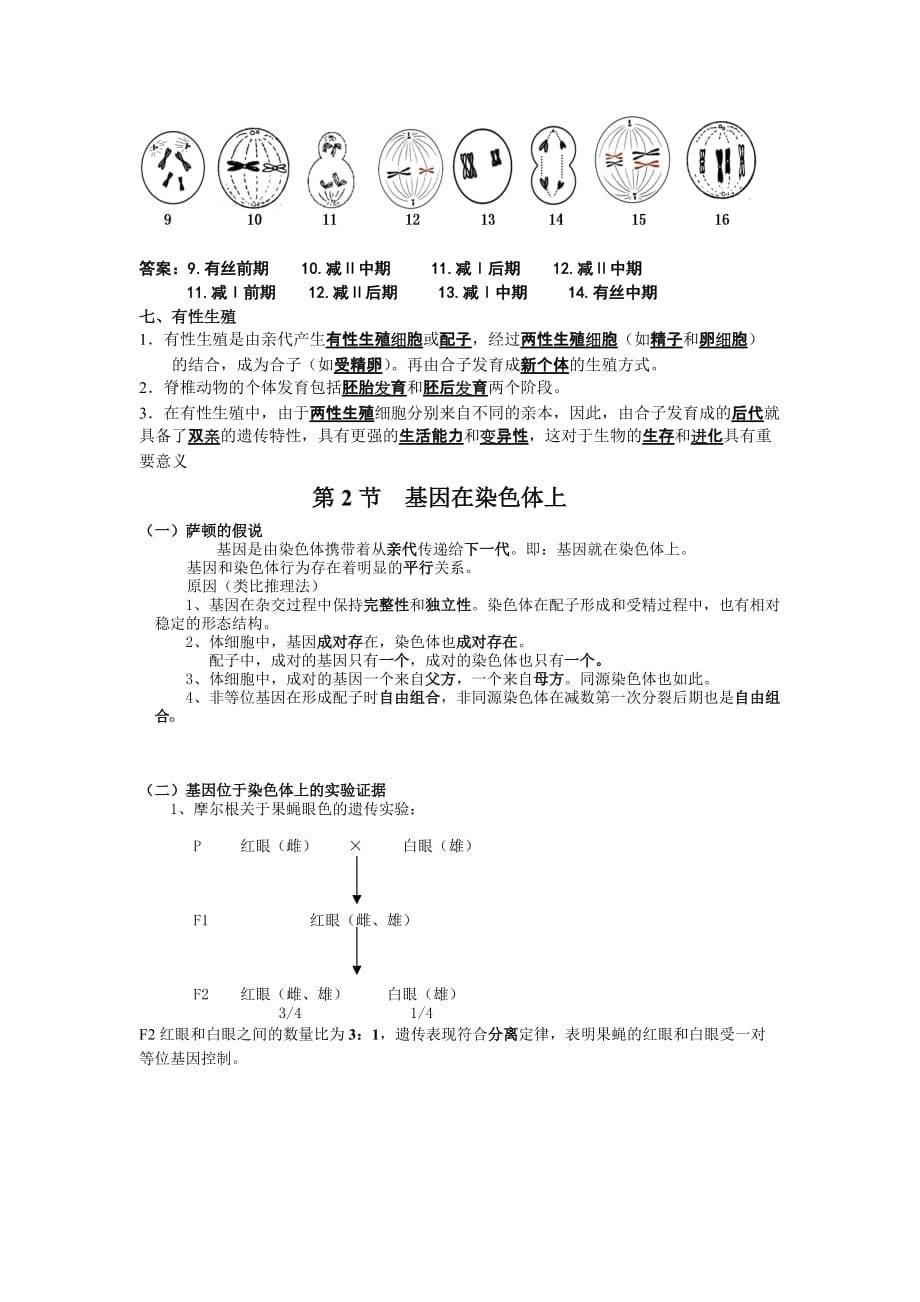 高一生物必修2第二章知识点总结.doc_第5页