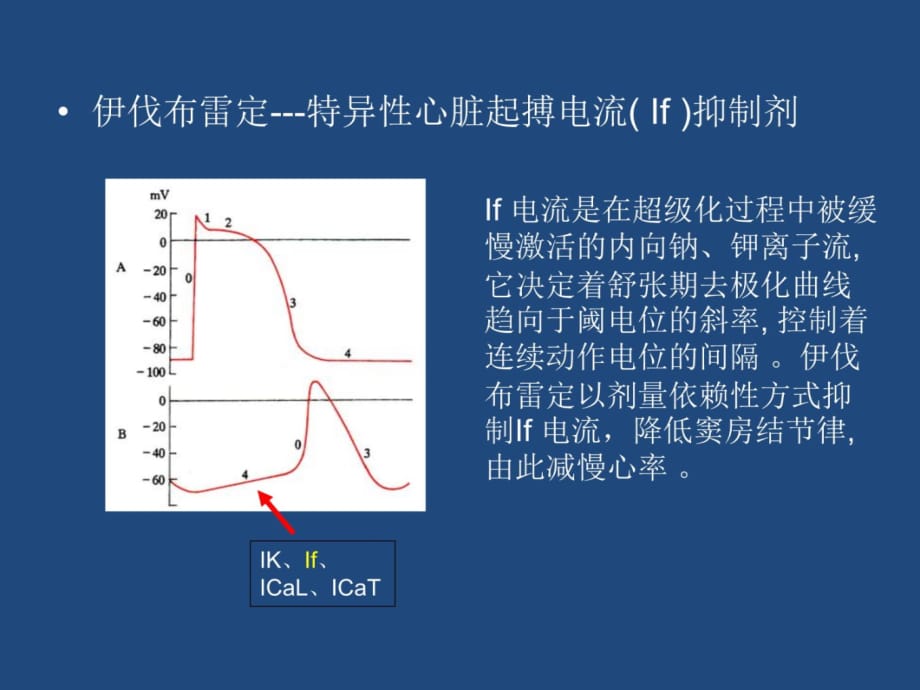 伊伐布雷定及其相关研究讲课教案_第3页