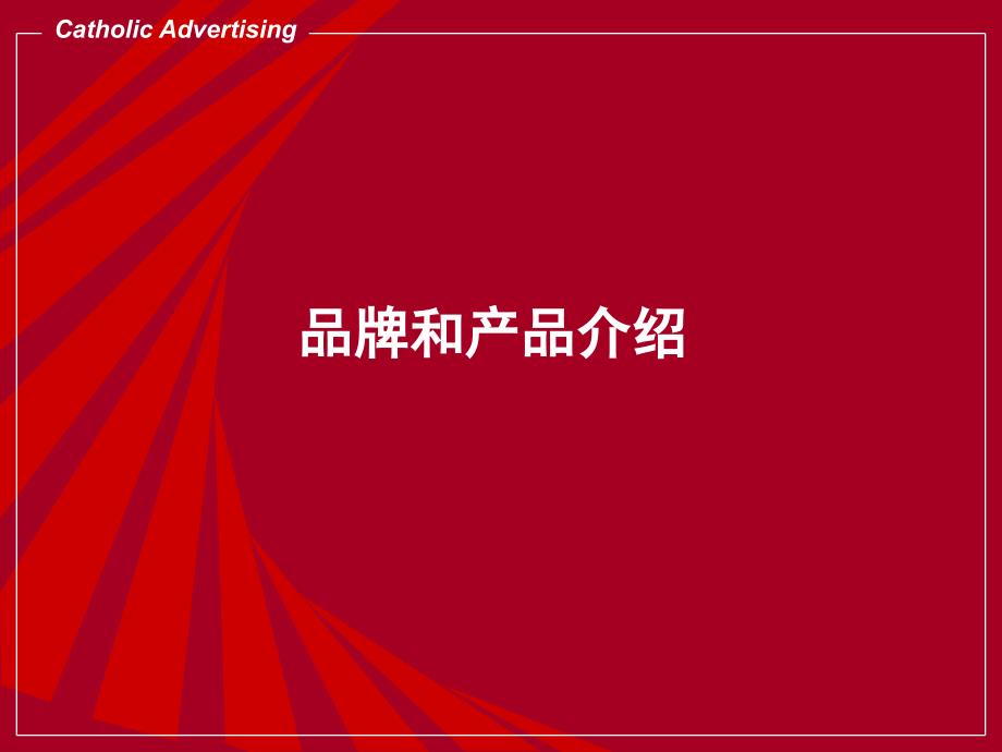 品牌与产品综合介绍(ppt 34页)_第2页